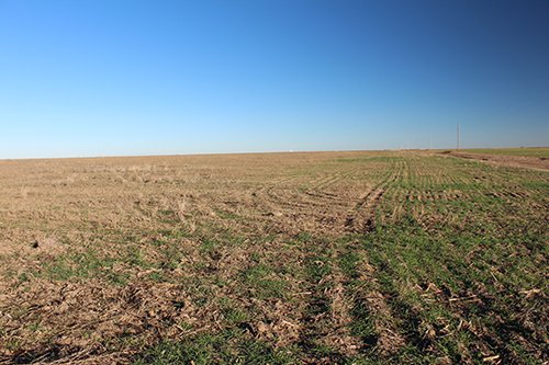 TRACT 3 - REAL ESTATE & MINERAL AUCTION - 640+/- ACRES & PRODUCING MINERALS OFFERED IN 8 TRACTS IN MORTON COUNTY, KANSAS